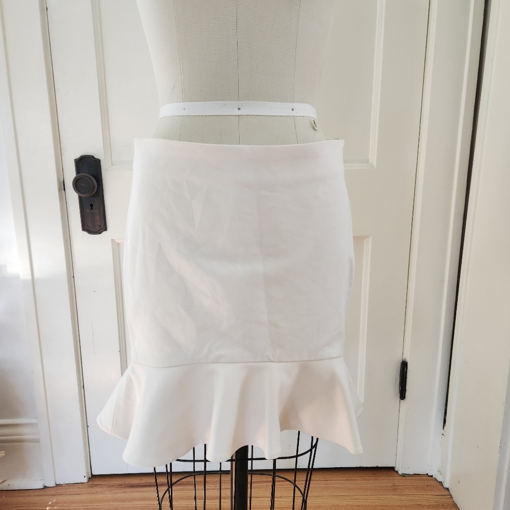 Zara ruffle skirt